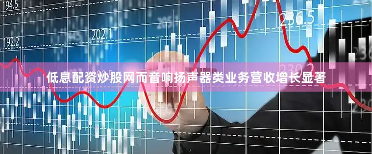 低息配资炒股网而音响扬声器类业务营收增长显著