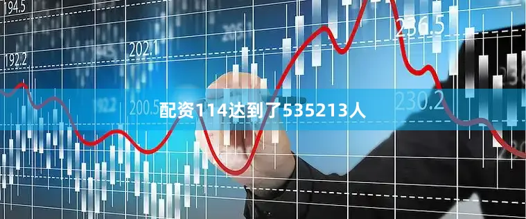 配资114达到了535213人